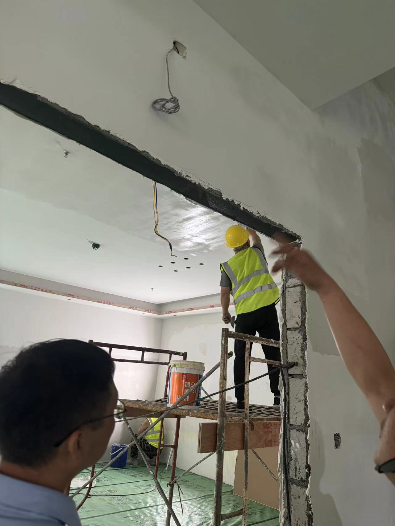 廣龍鑫：絕密實驗！寵物監控竟成“隱形殺手”，百萬貓狗受害